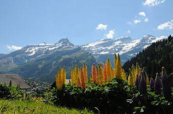 Hotel Swiss Historic Du Pillon 3*